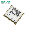 SKYLAB RoHS IEEE 802.11 11Ac SDIO 3.0 UART RTL8821 Combo 150Mbps BT 4.2 WiFi  Module for handhelddevice